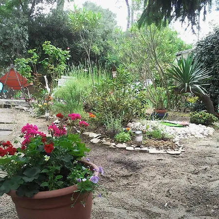 Pensión Akwaba Pyla-sur-Mer