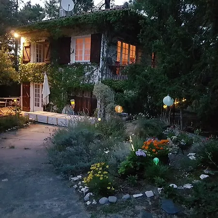 阿卡巴别墅酒店 4*