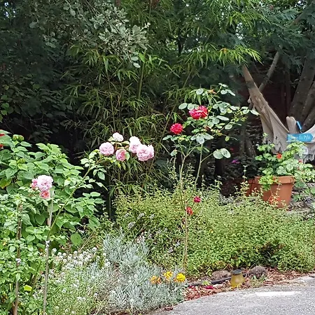 Akwaba 4* Pyla-sur-Mer