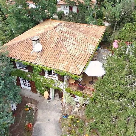 Pensjonat Akwaba Pyla-sur-Mer