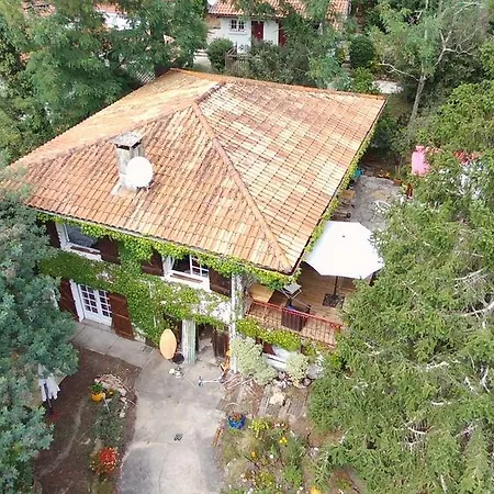 Maison d'hôtes Akwaba Pyla-sur-Mer