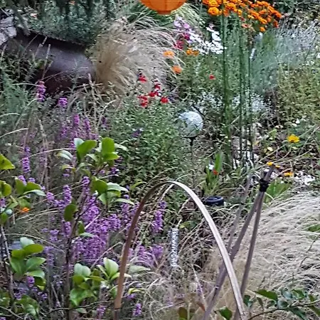 阿卡巴别墅酒店 4* 派拉索梅