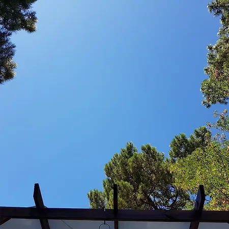 招待所 阿卡巴别墅酒店 派拉索梅