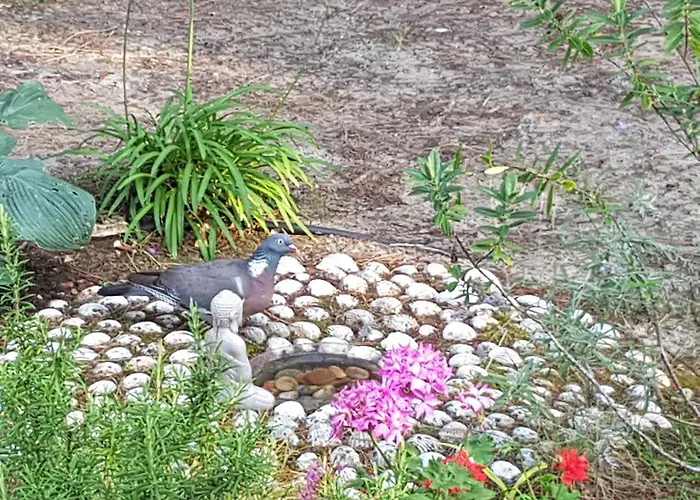 Akwaba Гостевой дом