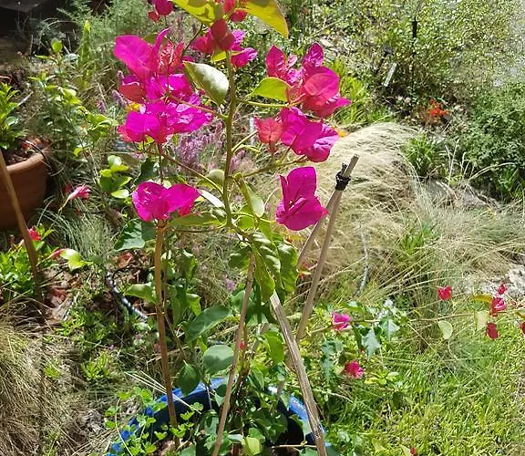 Akwaba Гостевой дом